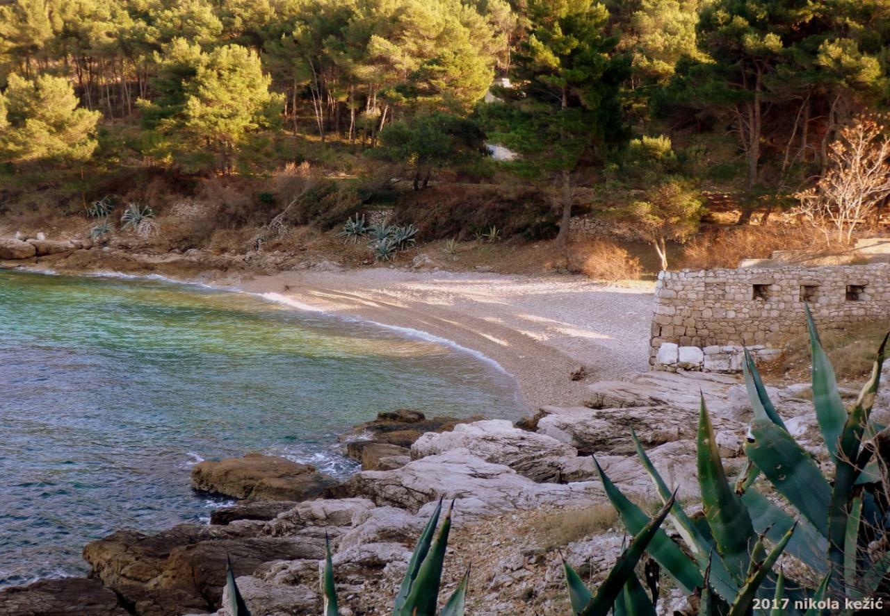 Vis Island Guesthouse Torga المظهر الخارجي الصورة